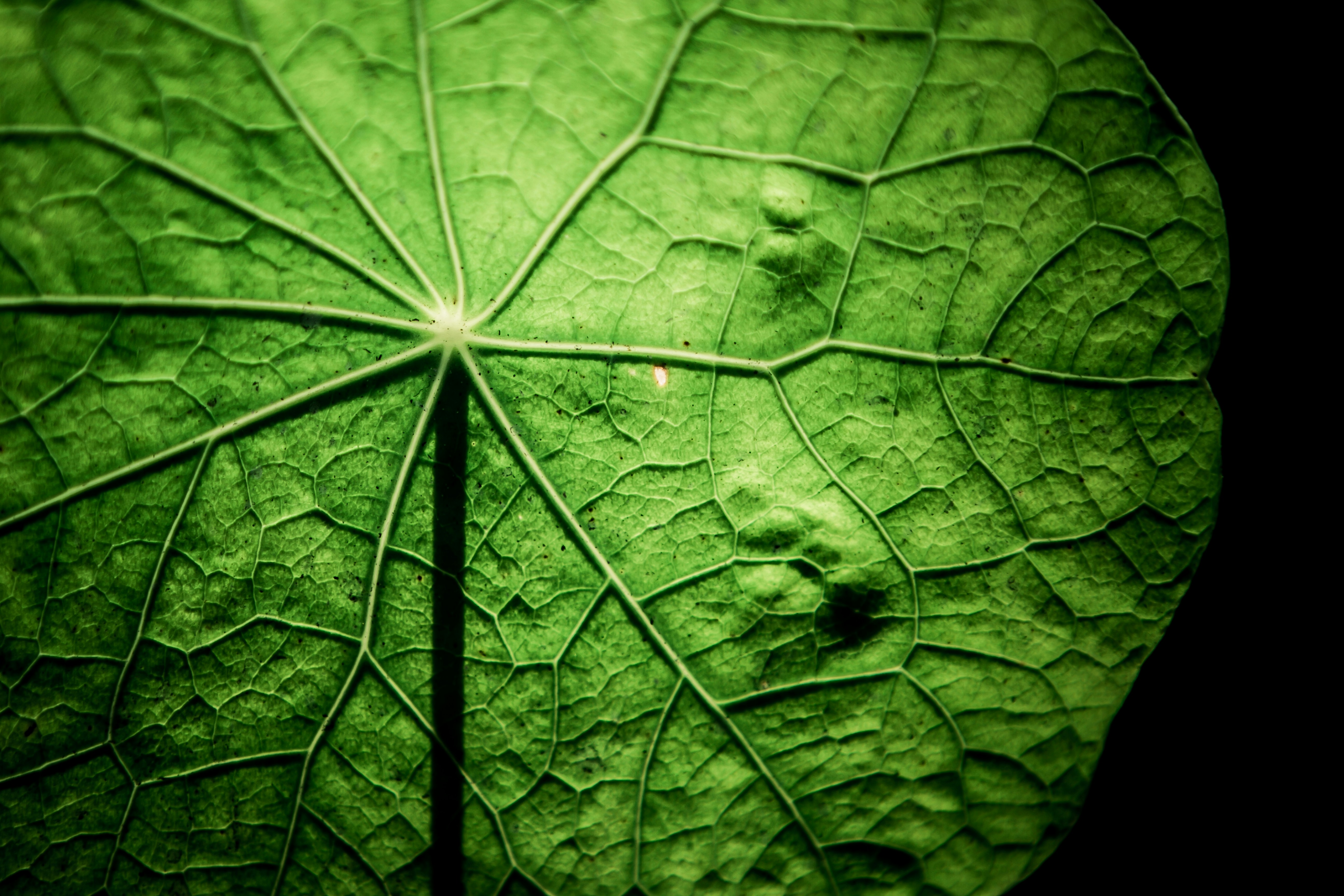 Sustainable pharma