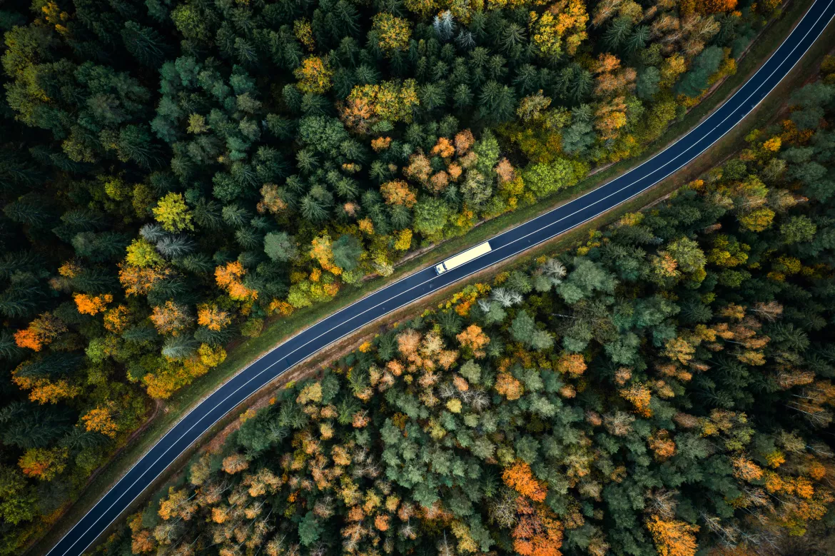 iStock-1281145596.jpg